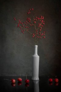 Red Berry Still Life