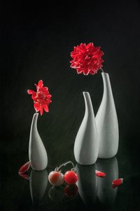 Red Dahlias and Vases