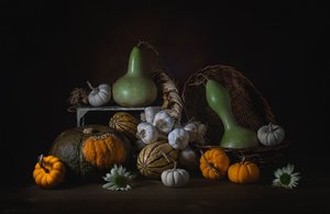 Rustic Autumn Harvest