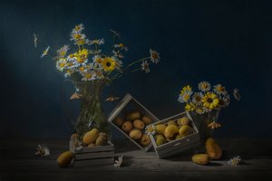 Rustic Fruit and Flowers