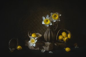 Spring Daffodils and Lemons