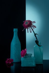 Teal Bottles with Blooms by Lydia Jacobs