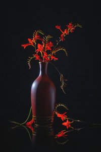 Vibrant Red Still Life
