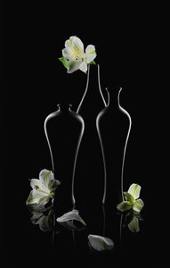 White Flowers Dark Vases
