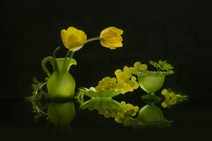 Yellow Tulips Green Grapes