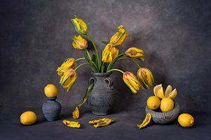 Yellow Tulips and Lemons
