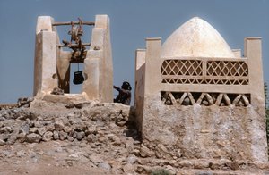 In desert, an oasis watering place with a well at Husn Al-Muttahar south of Tarin, Yemen by Lynn Abercrombie