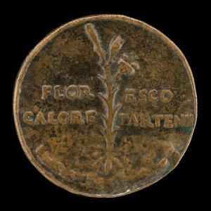 Lily and Inscription [reverse] by Lysippus Junior