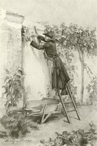 Abbe Constantin by Madeleine Lemaire