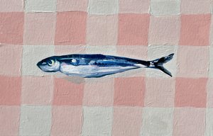 Pink Checkered Sardine