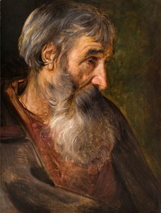 The Head of an Old Bearded Man