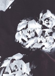 Abstract White Floral