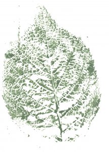Botanical Leaf Print by Maira Ribena