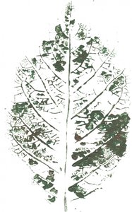 Botanical Leaf Print