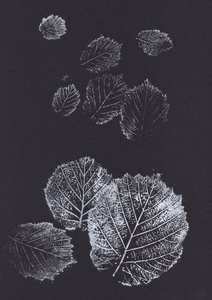 Botanical Leaf Prints by Maira Ribena