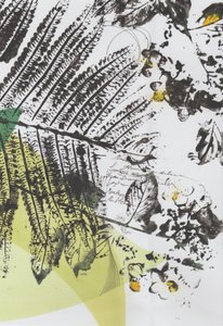 Botanical Script Layers