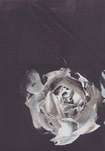 Dark Abstract Rose