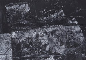 Dark Organic Texture