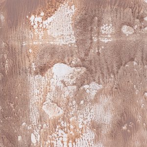 Earthy Abstract Wash by Maira Ribena