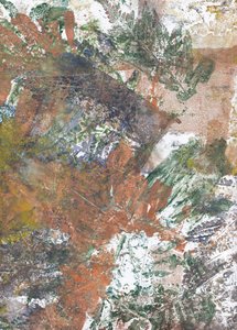 Earthy Leaf Impressions