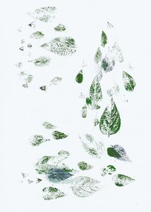 Falling Green Leaves by Maira Ribena