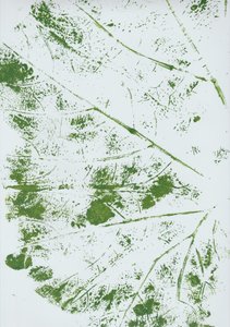 Green Leaf Impression by Maira Ribena