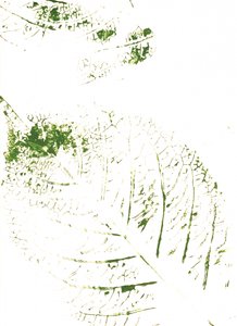 Green Leaf Prints by Maira Ribena