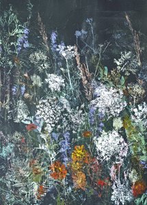 Midnight Wildflower Bloom