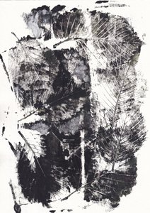 Monochrome Botanical Impressions