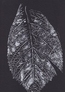 Monochrome Leaf Pattern