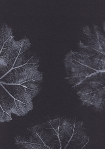 Monochrome Leaf Textures by Maira Ribena
