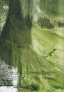 Organic Green Flow by Maira Ribena