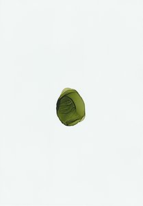 Organic Green Fluid by Maira Ribena