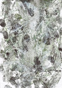 Organic Leaf Imprints