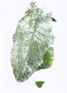 Organic Leaf Print by Maira Ribena