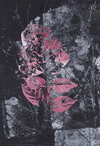 Textural Pink Bloom by Maira Ribena