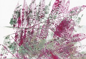 Vibrant Botanical Ferns