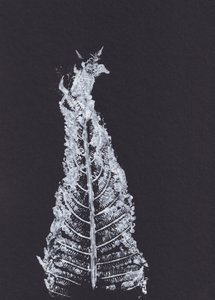 White Fern Silhouette