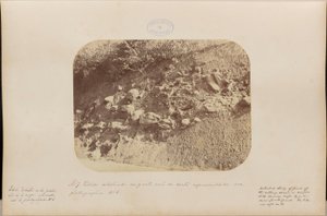 Detailed Study of the Southern Part of the Section Represented in Photograph Number 6 by Marc Ferrez