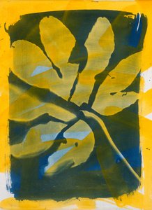 Anatomy of a Leaf, 2023 by Marco Campedelli
