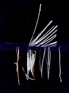 Due by Marco Campedelli