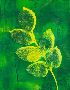 Foglie by Marco Campedelli