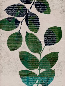 Leaves