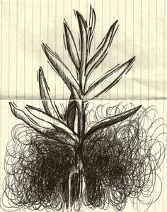Plant by Marco Campedelli