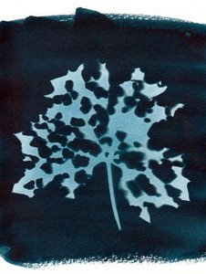 Sick Leaf by Marco Campedelli