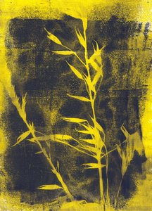Yellow Leaves by Marco Campedelli