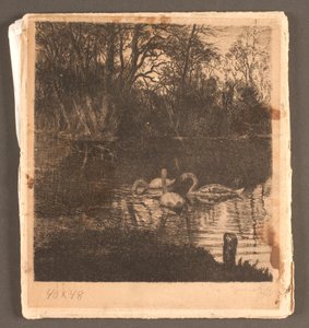 Motif with Swans. Frederiksberg Garden by Marcus Bech Fritz