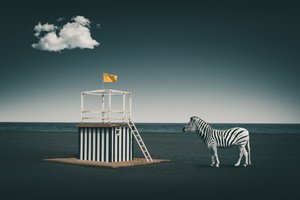 Surreal Beach Zebra