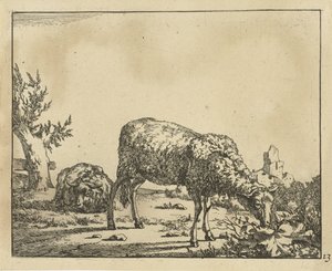 Grazing Sheep and Lying Sheep by Fence (Sheep) by Marcus de Bye