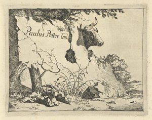 Head of a Cow Behind a Rock (Cattle and Pigs) by Marcus de Bye
